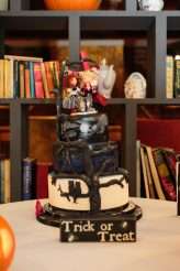 halloween-wedding-sue-kwiatkowska-photography-43