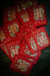 Vegan and Eco-Friendly Wedding with Fire_enchanted_brides_photography (18)