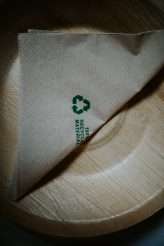 Vegan and Eco-Friendly Wedding with Fire_enchanted_brides_photography (5)