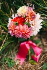 View More: http://briemullin.pass.us/brentkat