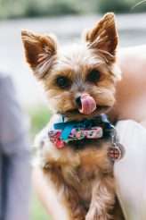 View More: http://briemullin.pass.us/brentkat