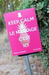 Flash Mob Wedding in the South of France (24)