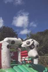 Wedding with Dinosaurs, Inflatable Cacti, Hedgehogs and Hoovers (10)