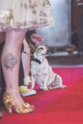 Wedding with Dinosaurs, Inflatable Cacti, Hedgehogs and Hoovers (18)