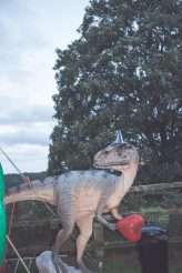 Wedding with Dinosaurs, Inflatable Cacti, Hedgehogs and Hoovers (47)