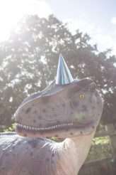 Wedding with Dinosaurs, Inflatable Cacti, Hedgehogs and Hoovers (5)