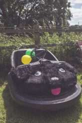 Wedding with Dinosaurs, Inflatable Cacti, Hedgehogs and Hoovers (9)