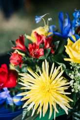 View More: http://laurenlovephotography.pass.us/juli-cody