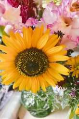 Eclectic Pagan Wedding with The Grateful Dead! (87)