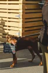 Rockabilly Wedding with Hot Rods and Rock n Roll! (8)