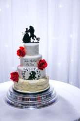 Alternative Disney Themed Wedding (49)