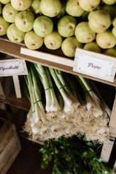 Matrimonio a Brissago Centro Danneman