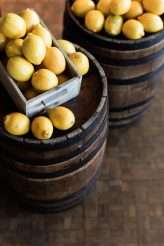 Matrimonio a Brissago Centro Danneman