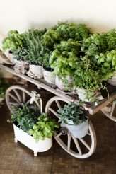 Matrimonio a Brissago Centro Danneman