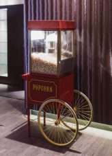 Pinwheels & Pugs An Old-Timer Funfair Wedding (31)