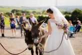 Mismatched Farm Wedding with Llamas, Sheep and Ducks! (5)
