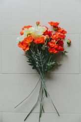 A Ceremony in Iceland & A Grand Budapest Hotel Reception in New York Part One (5)