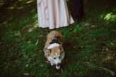 DIY Wedding in Chile with their Dog as the Videographer! (27)
