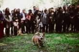 DIY Wedding in Chile with their Dog as the Videographer! (30)