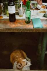 DIY Wedding in Chile with their Dog as the Videographer! (50)