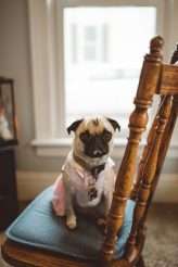 View More: http://innerlightphotos.pass.us/allyandjeffmarried