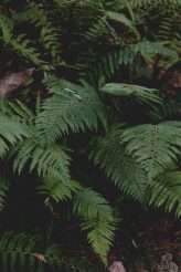 Music-Focused Wedding in Spain with a Bohemian Vibe (1)