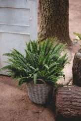 Music-Focused Wedding in Spain with a Bohemian Vibe (11)