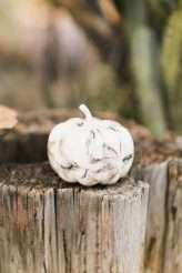 Bohemian Cactus Farm Wedding in Palm Springs (19)