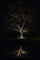 Environmentally-Conscious & Vegan LGBTQ Wedding (121)