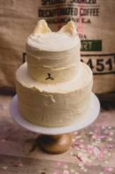 Crazy Cat Themed Wedding on the Isle of Man (53)