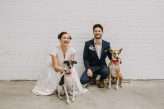 A Dog Themed Wedding Shoot (26)