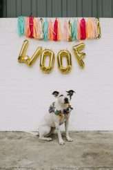 A Dog Themed Wedding Shoot (38)