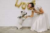A Dog Themed Wedding Shoot (39)