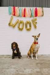 A Dog Themed Wedding Shoot (40)
