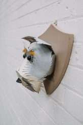 A Dog Themed Wedding Shoot (54)