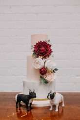 A Dog Themed Wedding Shoot (55)