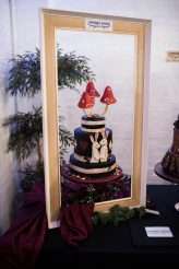 Eclectic Wedding Extravanganza – Jay Emme Photography, April 17-068 – Copy