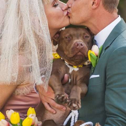 Fifties Prom Wedding with a Homemade Pink Wedding Dress! (23)a