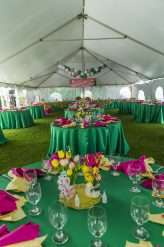 Fifties Prom Wedding with a Homemade Pink Wedding Dress! (32)