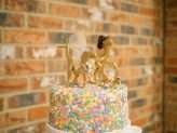 Handmade Wedding with Pom Poms & Gold Dinosaurs! (44)