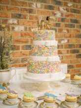 Handmade Wedding with Pom Poms & Gold Dinosaurs! (45)