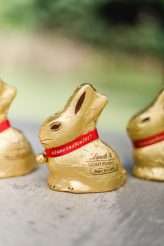 Magical Wonderland Forest Wedding in South Africa (2)