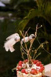 Magical Wonderland Forest Wedding in South Africa (44)