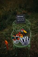 Super Chilled Backyard Farm Wedding (36)