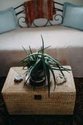 Super Chilled Backyard Farm Wedding (6)