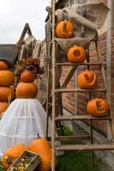 Autumnal Wedding Woodland Fairy Bride (13)