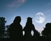 Saga of the Swamp Thing Wedding (77)