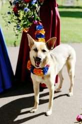 An Extreme DIY Colour-Fest Wedding (10)