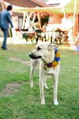 An Extreme DIY Colour-Fest Wedding (45)