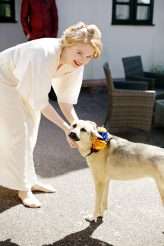 An Extreme DIY Colour-Fest Wedding (7)